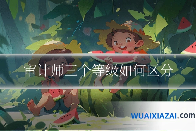 审计师三个等级如何区分