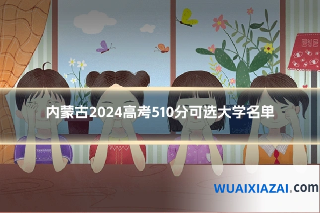 内蒙古2024高考510分可选大学名单