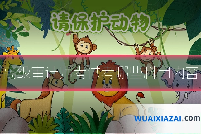 高级审计师考试考哪些科目内容