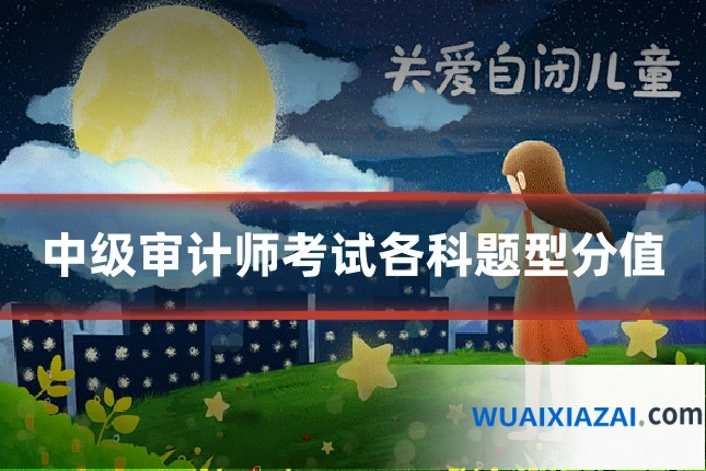 中级审计师考试各科题型分值