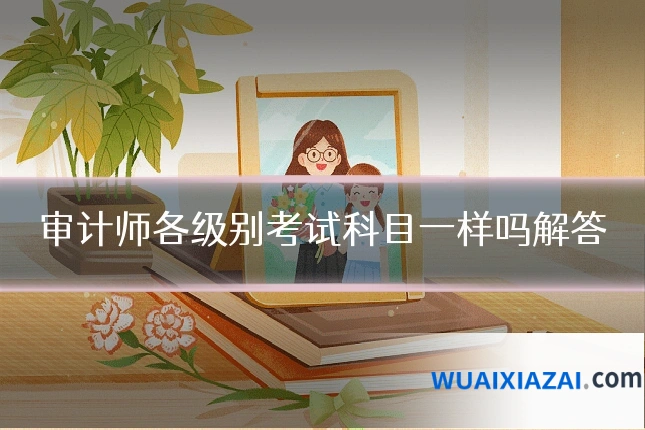 审计师各级别考试科目一样吗解答