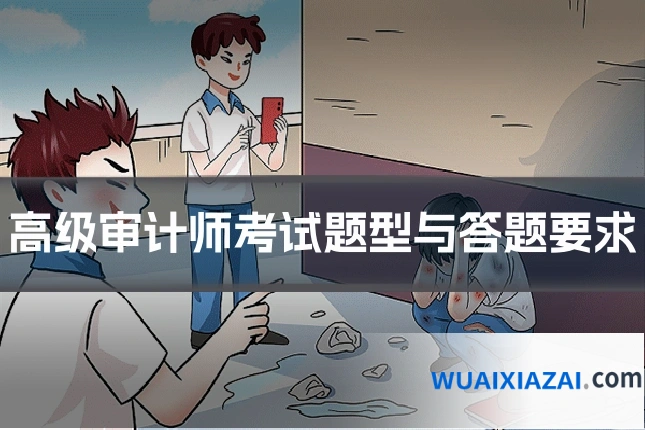 高级审计师考试题型与答题要求