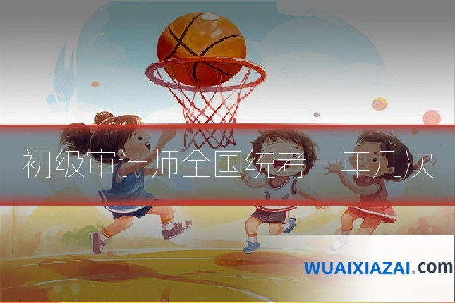 初级审计师全国统考一年几次