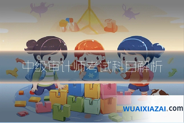 中级审计师考试科目解析