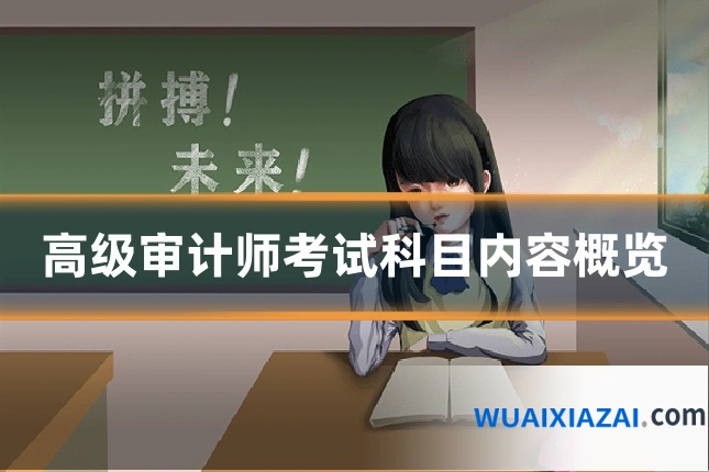 高级审计师考试科目内容概览