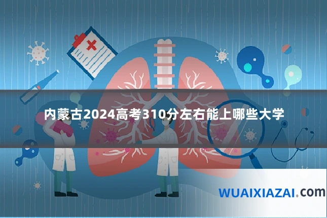 内蒙古2024高考310分左右能上哪些大学