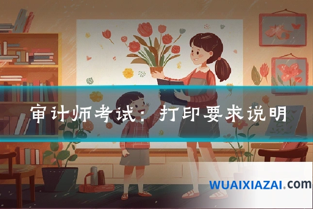 审计师考试：打印要求说明
