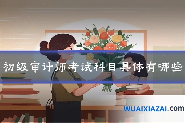 初级审计师考试科目具体有哪些