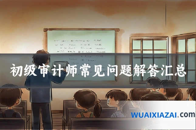 初级审计师常见问题解答汇总