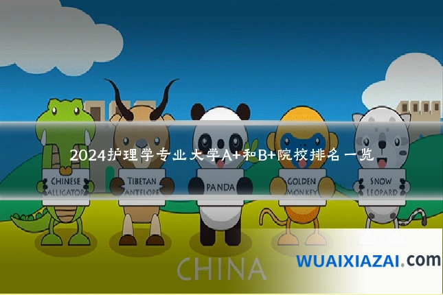 2024护理学专业大学A+和B+院校排名一览