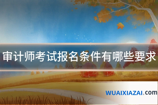 审计师考试报名条件有哪些要求
