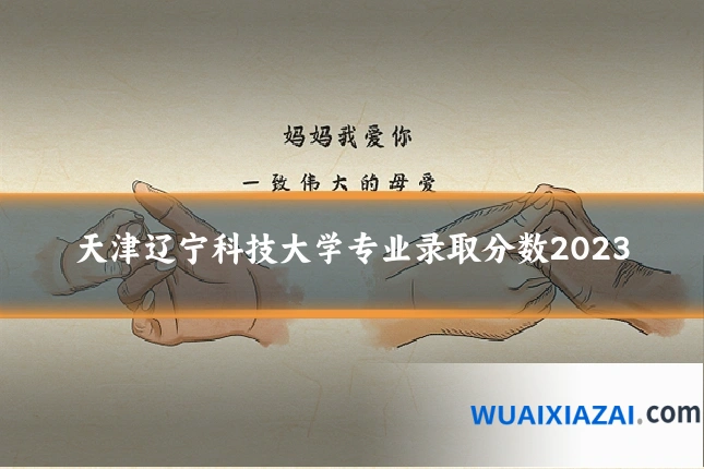 天津辽宁科技大学专业录取分数2023