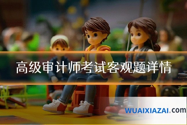 高级审计师考试客观题详情