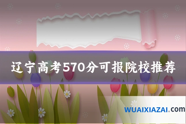 辽宁高考570分可报院校推荐