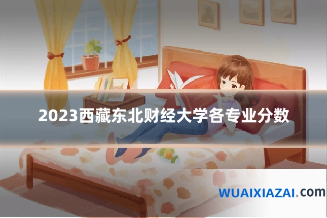 2023西藏东北财经大学各专业分数