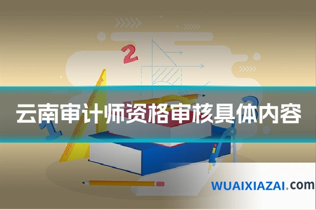 云南审计师资格审核具体内容