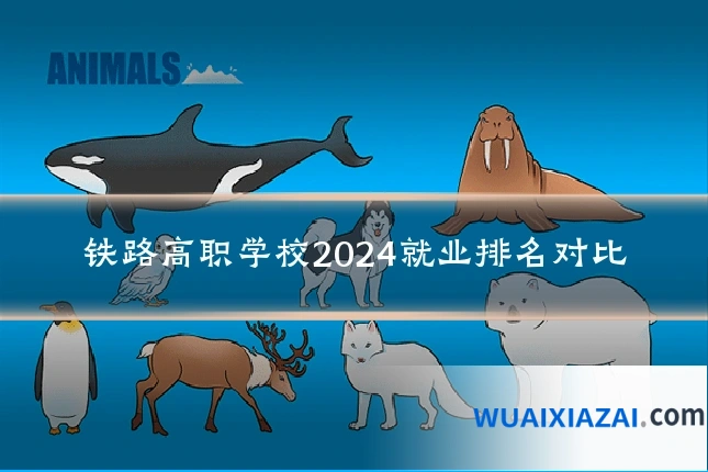 铁路高职学校2024就业排名对比