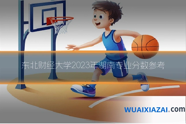 东北财经大学2023年湖南专业分数参考