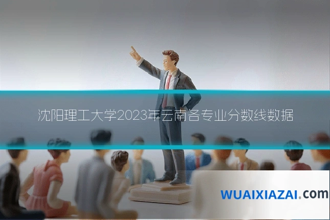 沈阳理工大学2023年云南各专业分数线数据