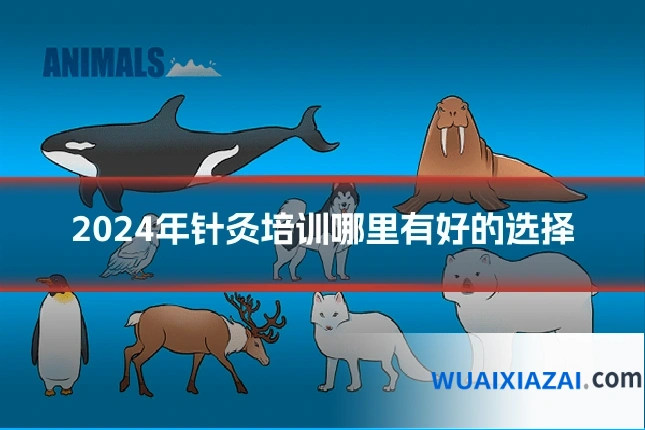 2024年针灸培训哪里有好的选择