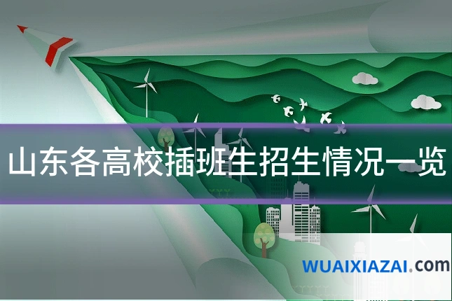 山东各高校插班生招生情况一览