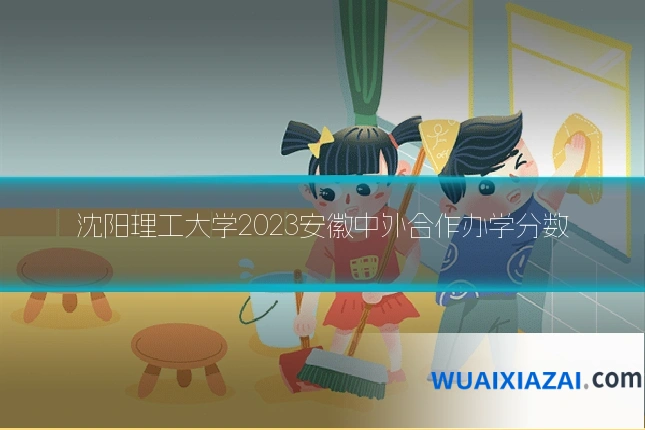 沈阳理工大学2023安徽中外合作办学分数