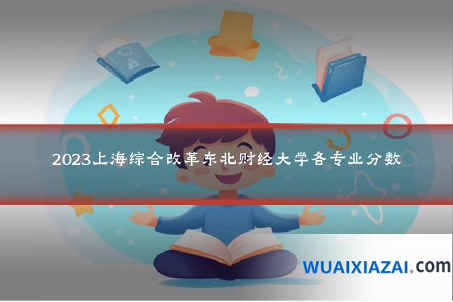 2023上海综合改革东北财经大学各专业分数