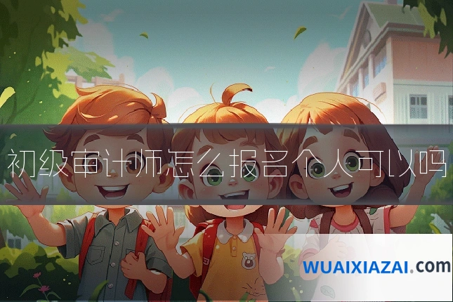 初级审计师怎么报名个人可以吗