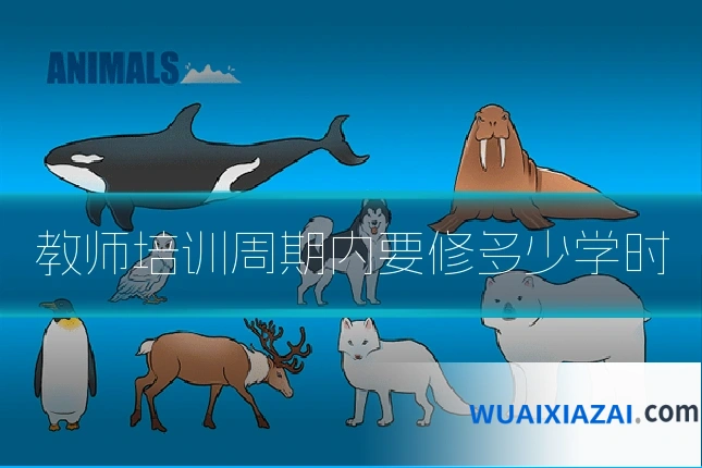教师培训周期内要修多少学时