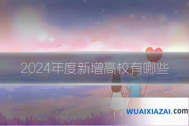 2024年度新增高校有哪些