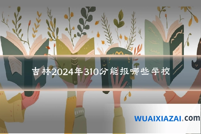 吉林2024年310分能报哪些学校