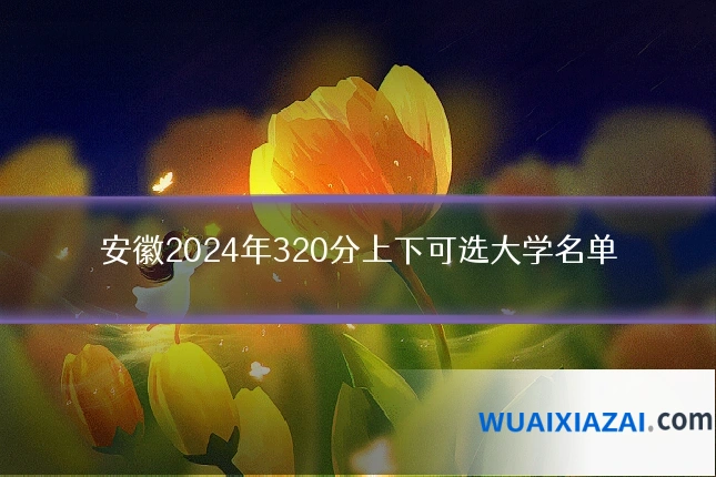 安徽2024年320分上下可选大学名单