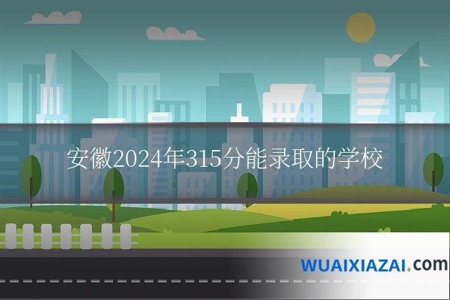 安徽2024年315分能录取的学校