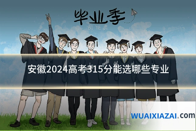 安徽2024高考315分能选哪些专业