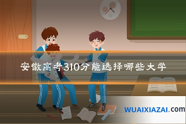 安徽高考310分能选择哪些大学