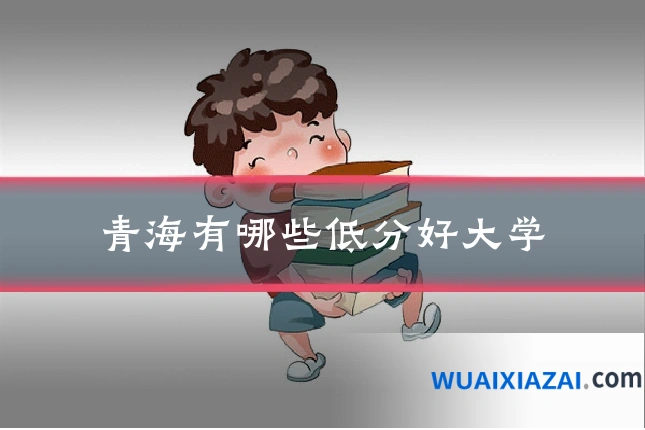 青海有哪些低分好大学