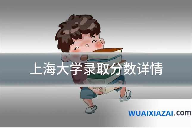 上海大学录取分数详情
