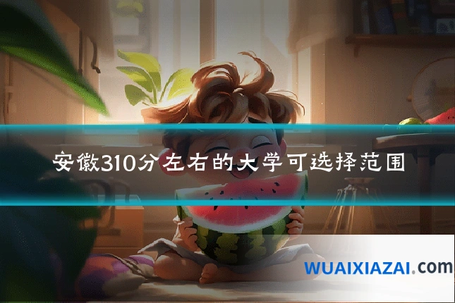安徽310分左右的大学可选择范围