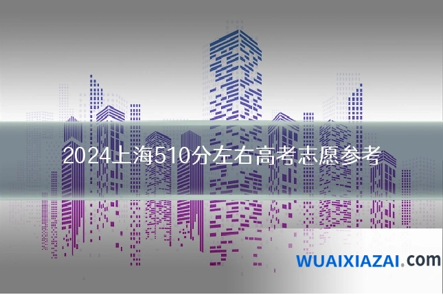 2024上海510分左右高考志愿参考
