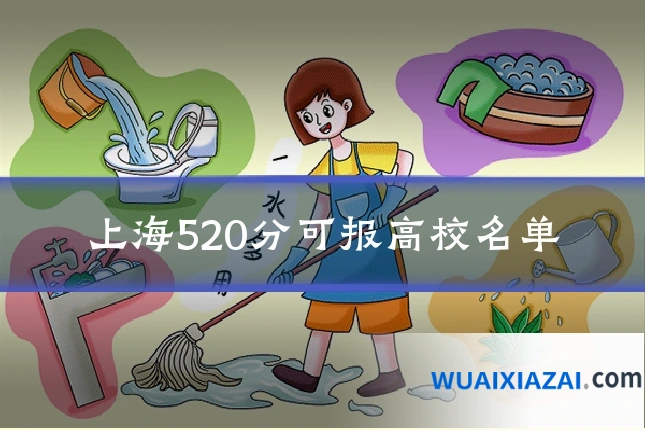 上海520分可报高校名单