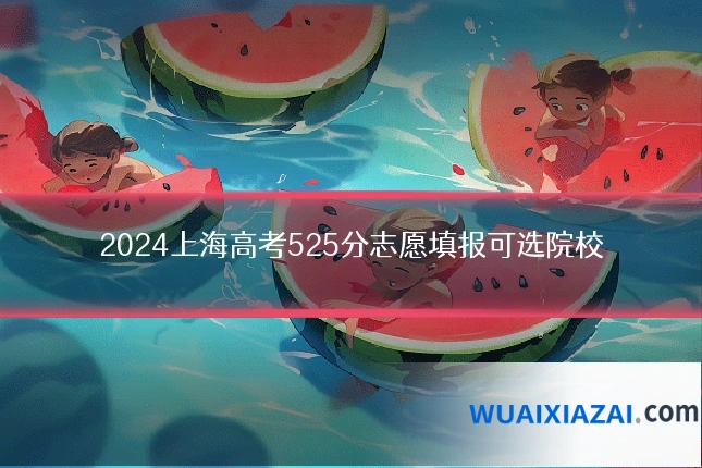 2024上海高考525分志愿填报可选院校