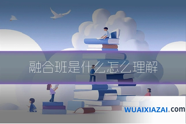 融合班是什么怎么理解