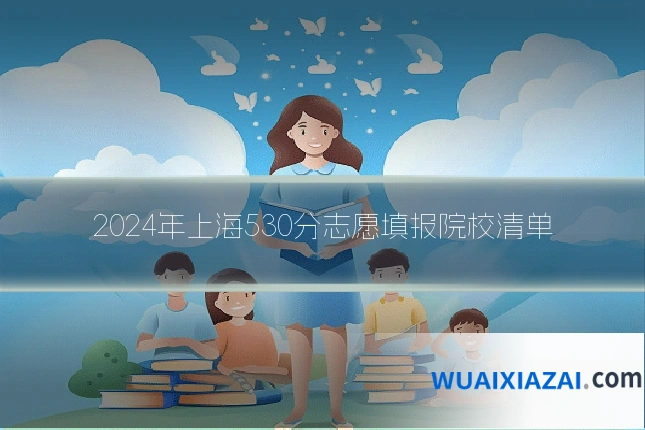 2024年上海530分志愿填报院校清单