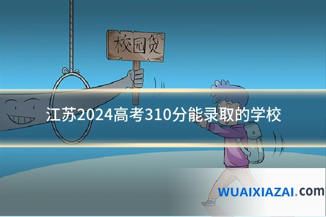 江苏2024高考310分能录取的学校