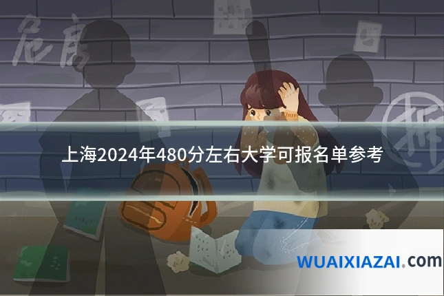 上海2024年480分左右大学可报名单参考