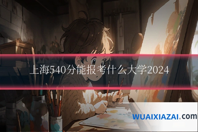 上海540分能报考什么大学2024