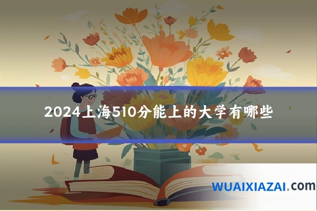 2024上海510分能上的大学有哪些