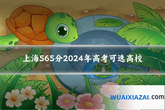 上海565分2024年高考可选高校