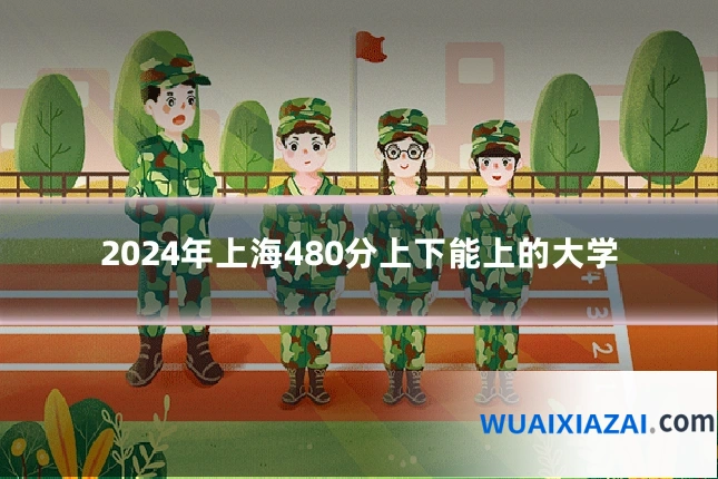 2024年上海480分上下能上的大学