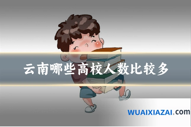 云南哪些高校人数比较多